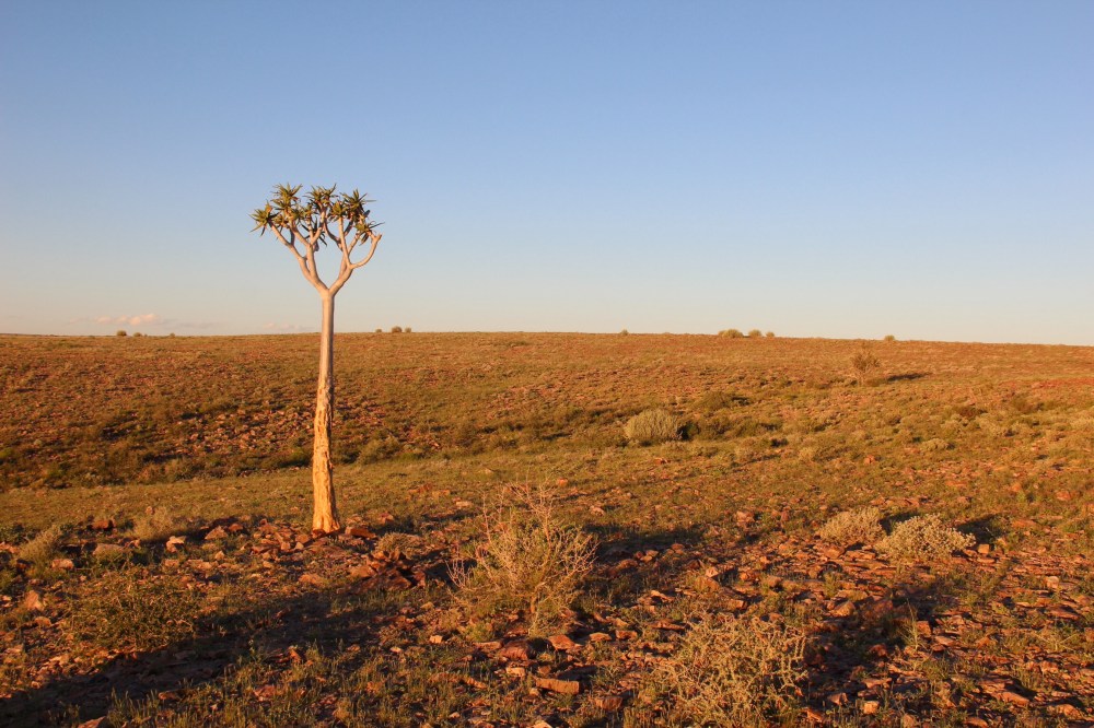 Near Fish River Canyon