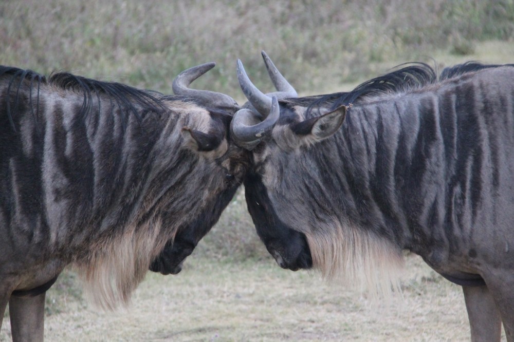 No...North is this way!