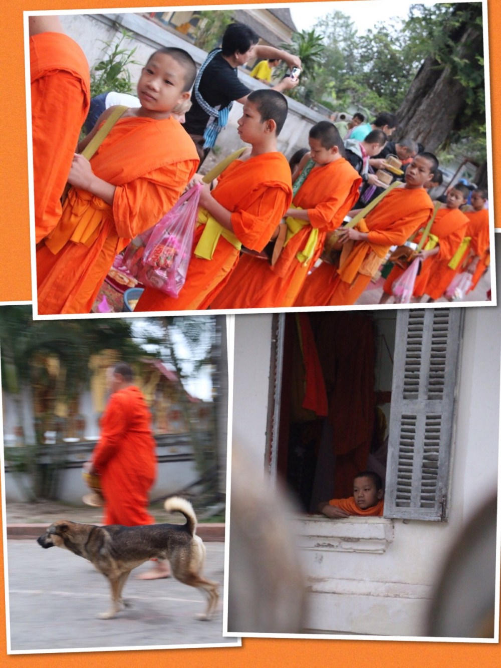 Buddhist monks young and old