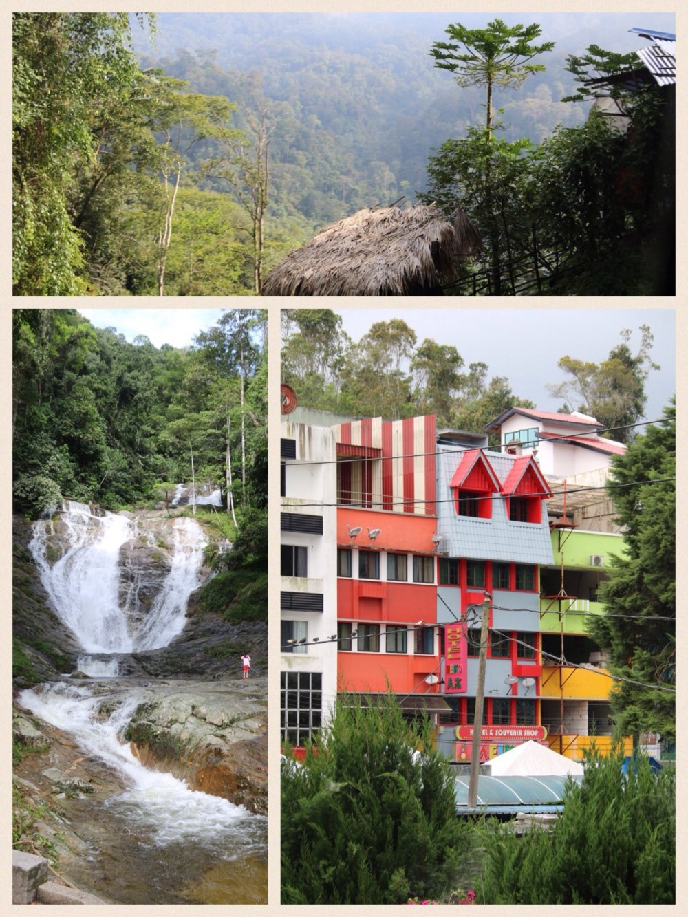 Views from the Highlands